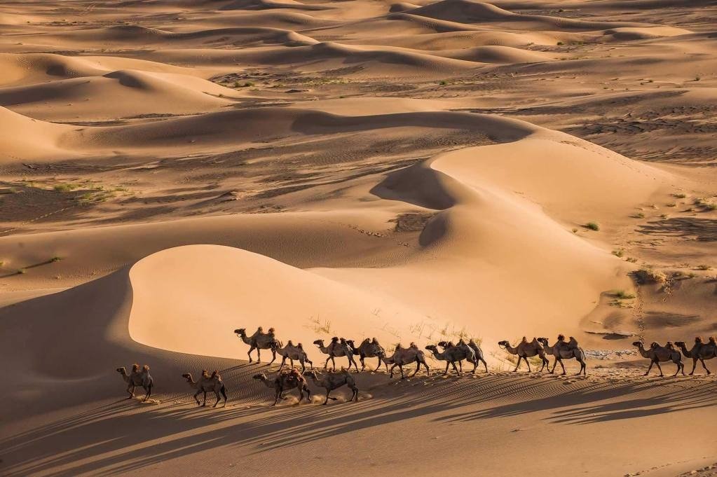 Dalanzadgad (The Gobi Desert)